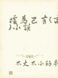 据为己有(高干)小说