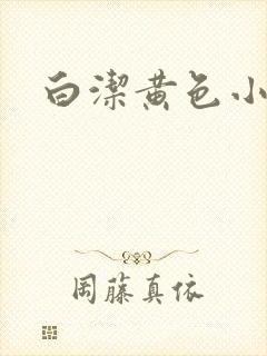白洁黄色小说