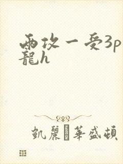 两攻一受3p双龙h