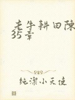 老牛耕田陈雪435章