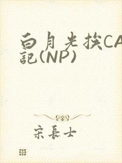 白月光挨CAO记(NP)