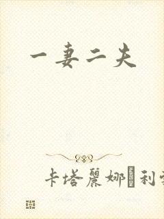 一妻二夫
