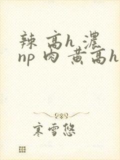 辣 高h 浓 np 肉 黄高h