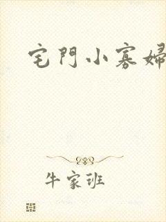 宅门小寡妇