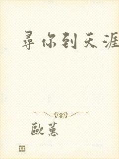 寻你到天涯