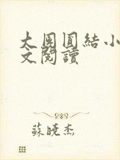 大团圆结小茹全文阅读