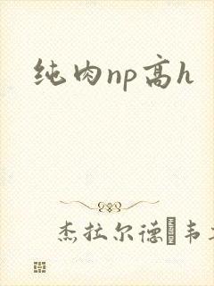 纯肉np高h