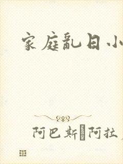 家庭乱日小说