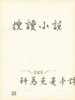 搜读小说