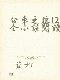 公车之狼12集全小说阅读