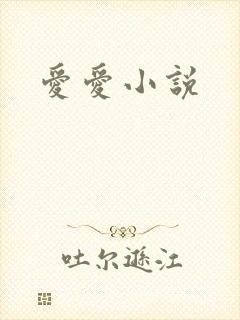 爱爱小说