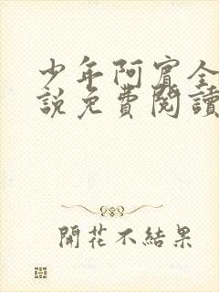 少年阿宾全文小说免费阅读笔趣阁