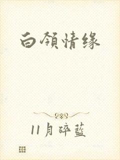 白领情缘