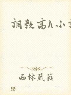 调教高h小说