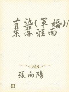有染(军婚)/叶落淮南