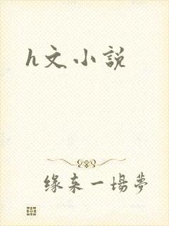 h文小说