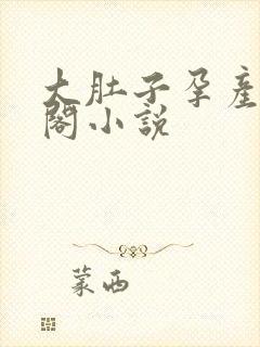 大肚子孕产笔趣阁小说