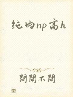 纯肉np高h