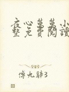 夜心万万小说完整免费阅读全文