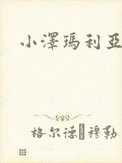 小泽玛利亚作品