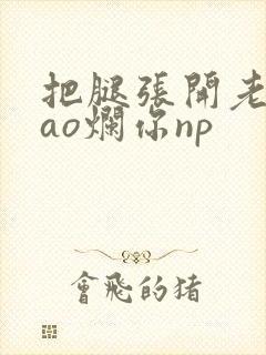 把腿张开老子cao烂你np