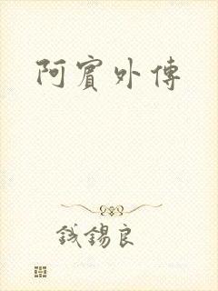 阿宾外传