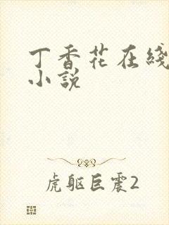 丁香花在线电影小说