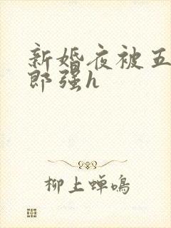 新婚夜被五个伴郎强h