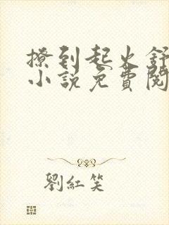 撩到起火舒漾的小说免费阅读全文