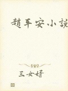 赵平安小说主角