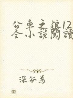 公车之狼12集全小说阅读