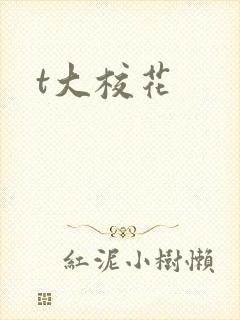 t大校花