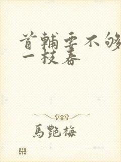 首辅要不够po一枝春