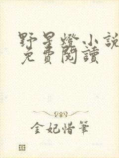 野星灯小说全文免费阅读