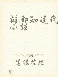 谁都知道我爱你小说