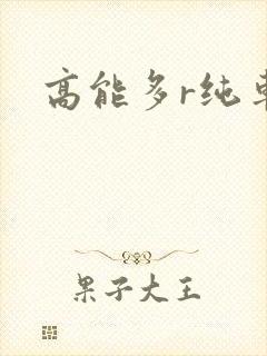 高能多r纯车
