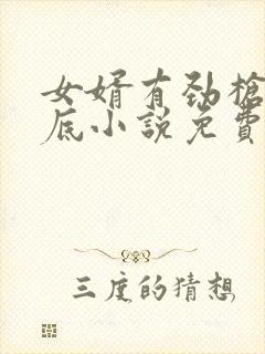 女婿有劲枪枪到底小说免费看