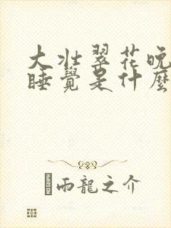 大壮翠花晚上不睡觉是什么电视剧