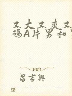 又大又爽又黄无码A片男和男