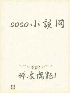 soso小说网