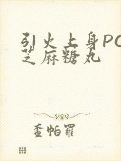 引火上身POP芝麻糖丸