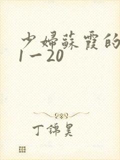 少妇苏霞的沉沦1一20