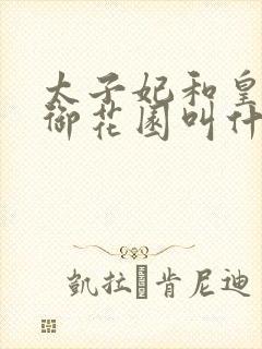 太子妃和皇帝在御花园叫什么小说