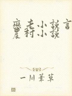 恋老小说言情网农村小说