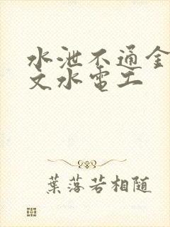 水泄不通金银原文水电工