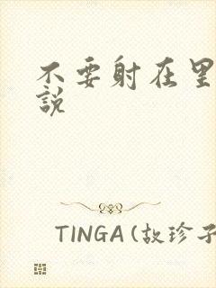 不要射在里面小说