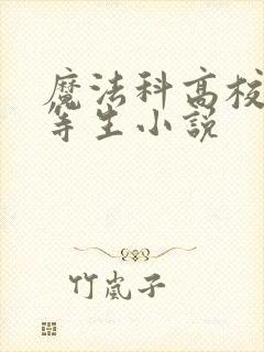 魔法科高校的劣等生小说