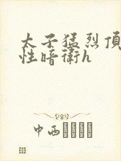 太子猛烈顶弄双性暗卫h