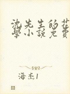 沈先生的花式教学小说免费