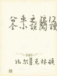 公车之狼12集全小说阅读